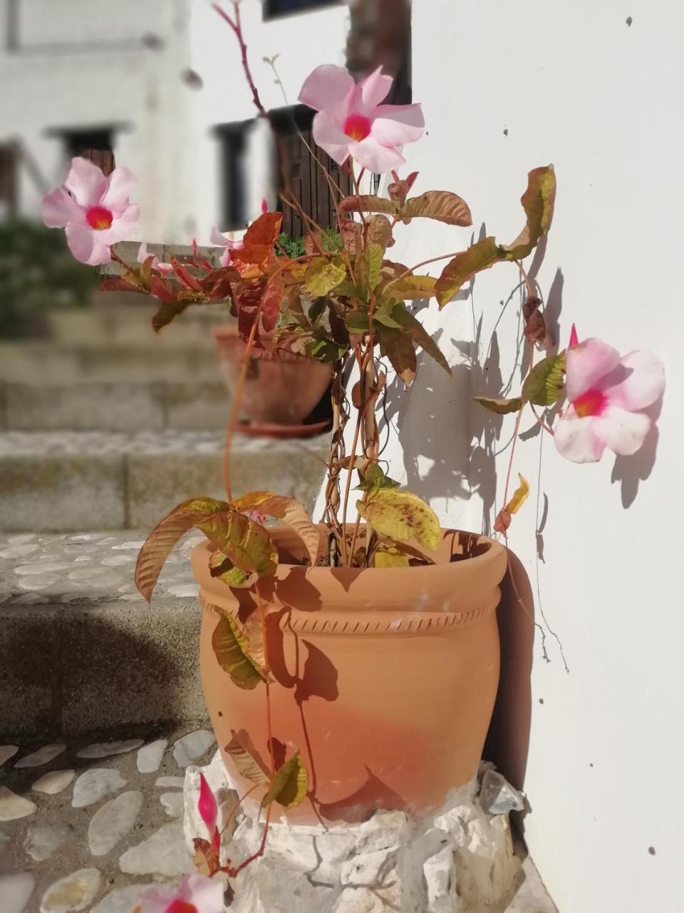 B&B The Lost Village El Acebuchal Frigiliana Εξωτερικό φωτογραφία