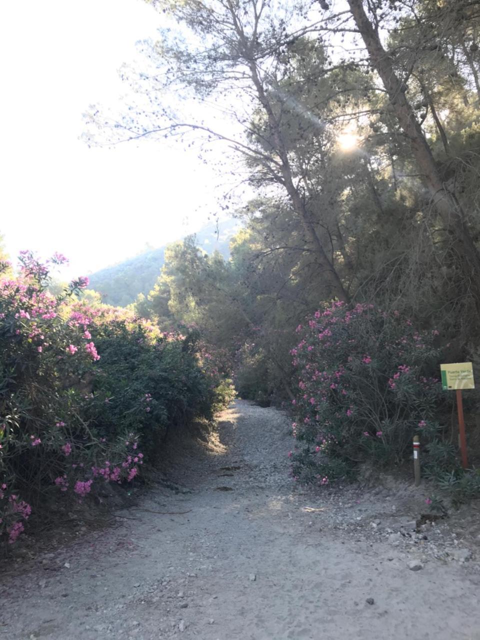 B&B The Lost Village El Acebuchal Frigiliana Εξωτερικό φωτογραφία