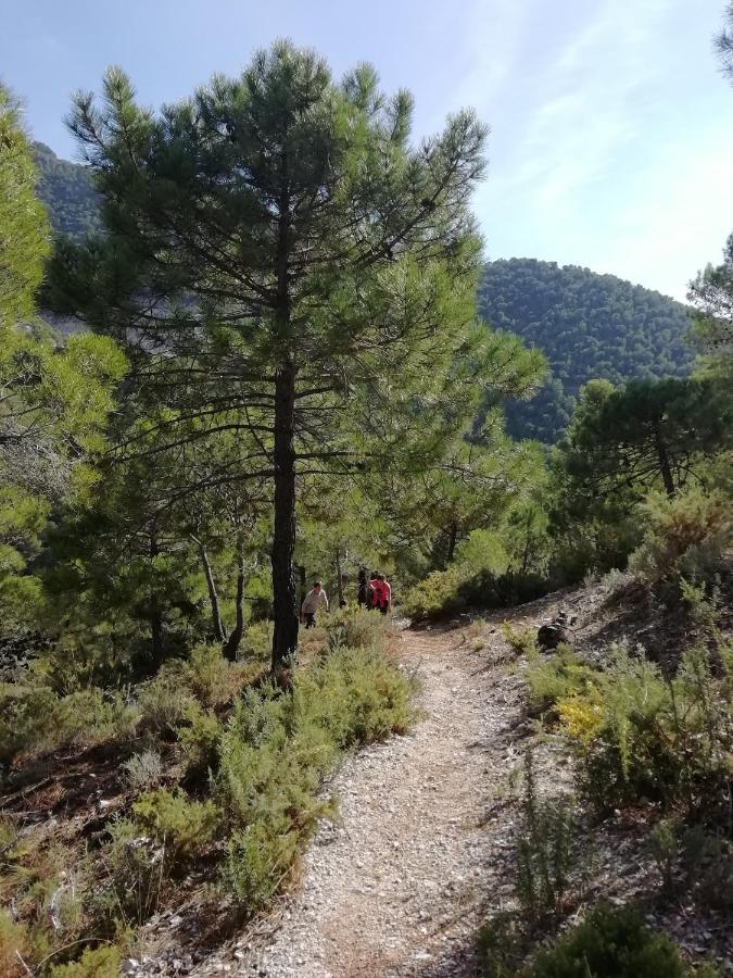 B&B The Lost Village El Acebuchal Frigiliana Εξωτερικό φωτογραφία